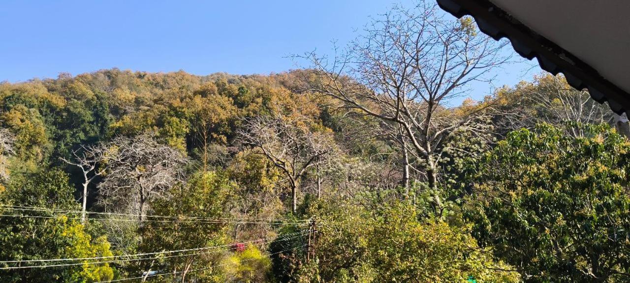 科比特拉姆甘佳塔兰吉欢迎传统度假村 Marchula 外观 照片